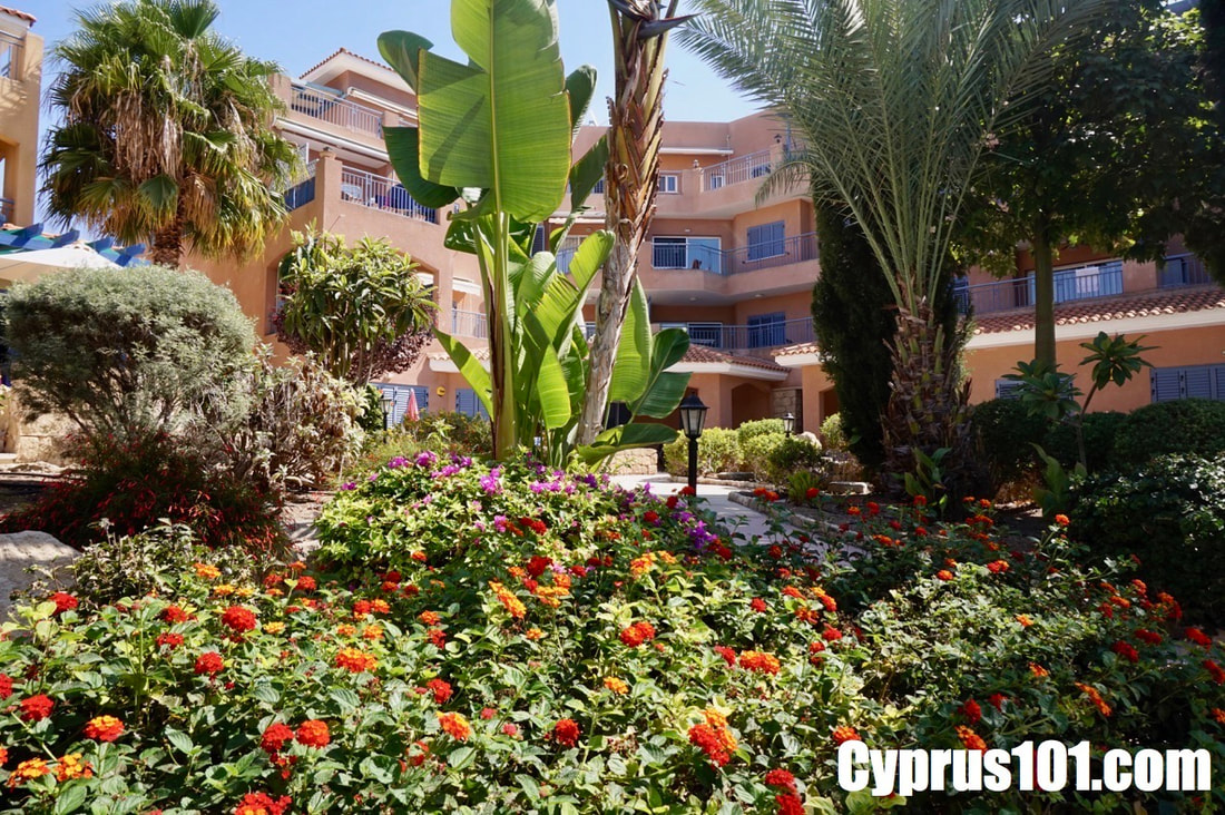 Kato-paphos-cyprus-property
