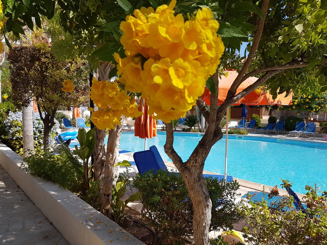 Lovely, Weekly Holiday Rental In Kato Paphos