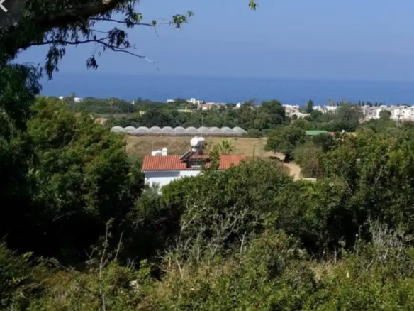 Chloraka land for sale