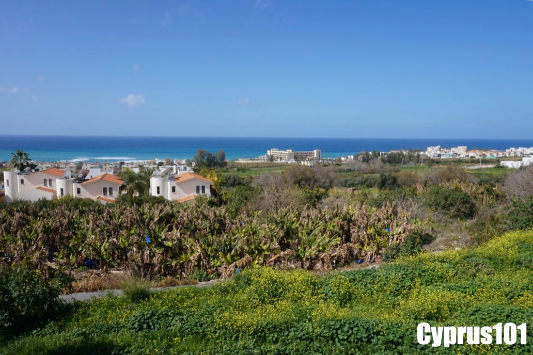 mls-928-Kissonerga-property-928