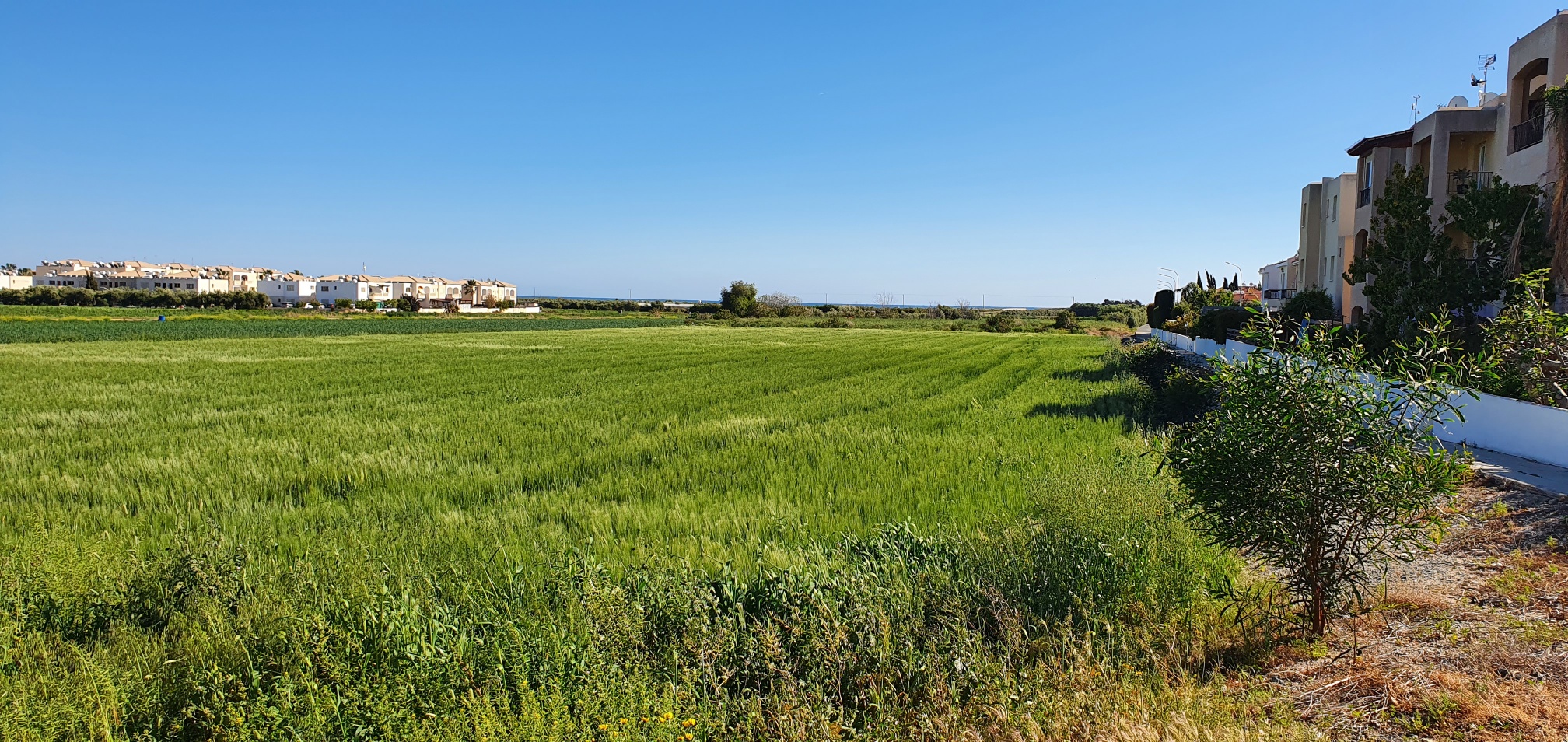 Plot, Mandria Paphos Cyprus