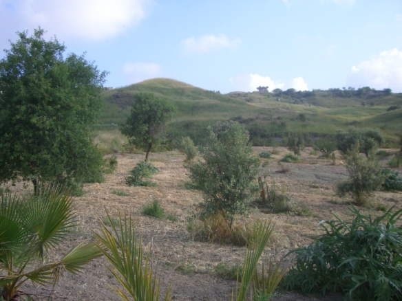 Simou, Paphos, Cyprus plots for sale