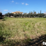 Emba Paphos Residential plot for sale