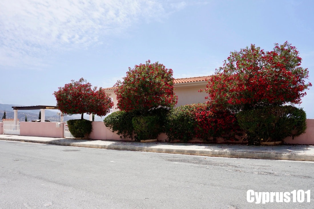 Impressive 5 Bedroom Hillside Villa with Panoramic Coastal & Mountain Views, Peyia – MLS 1164