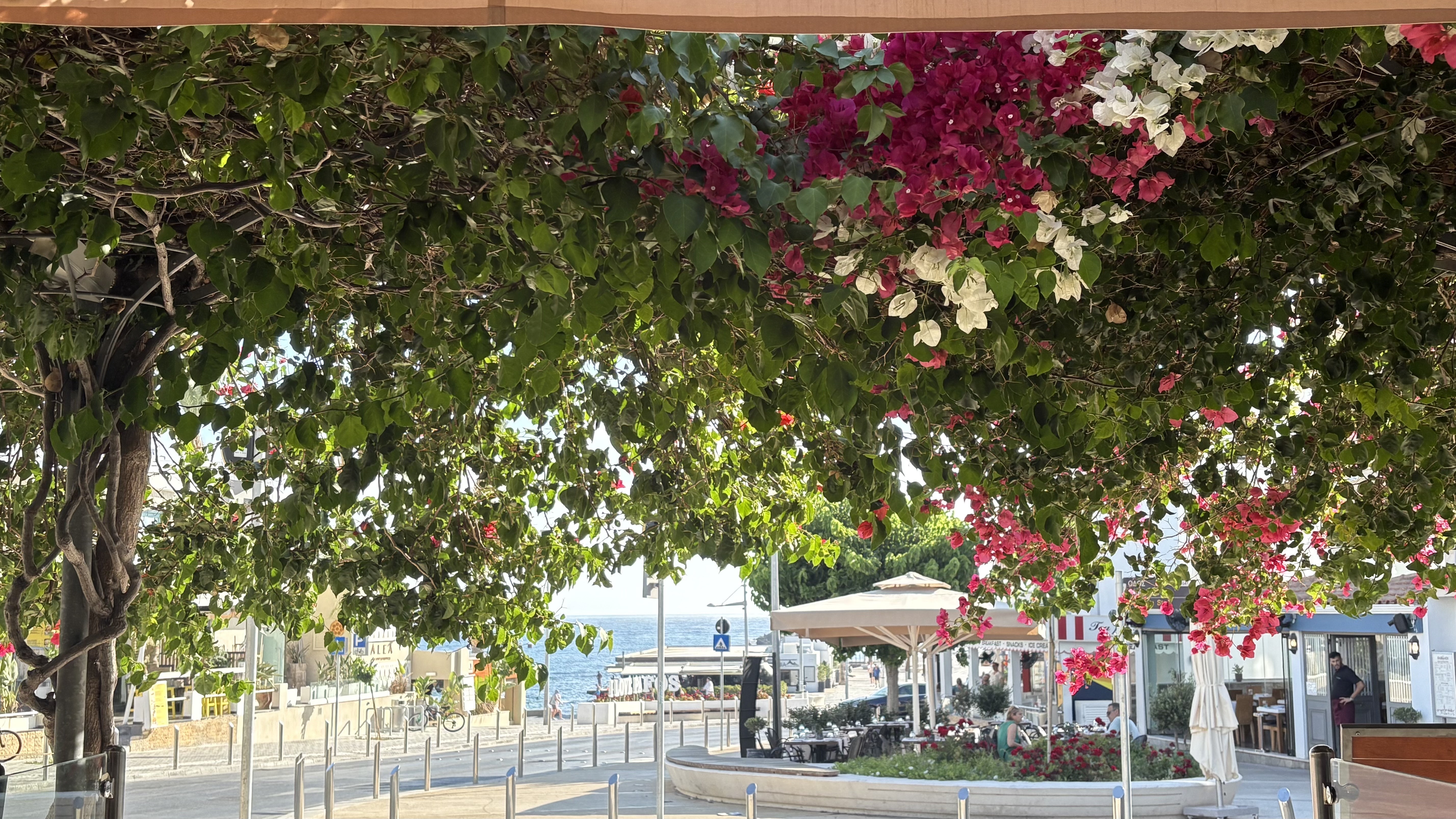 A view of the sea in Kato Paphos