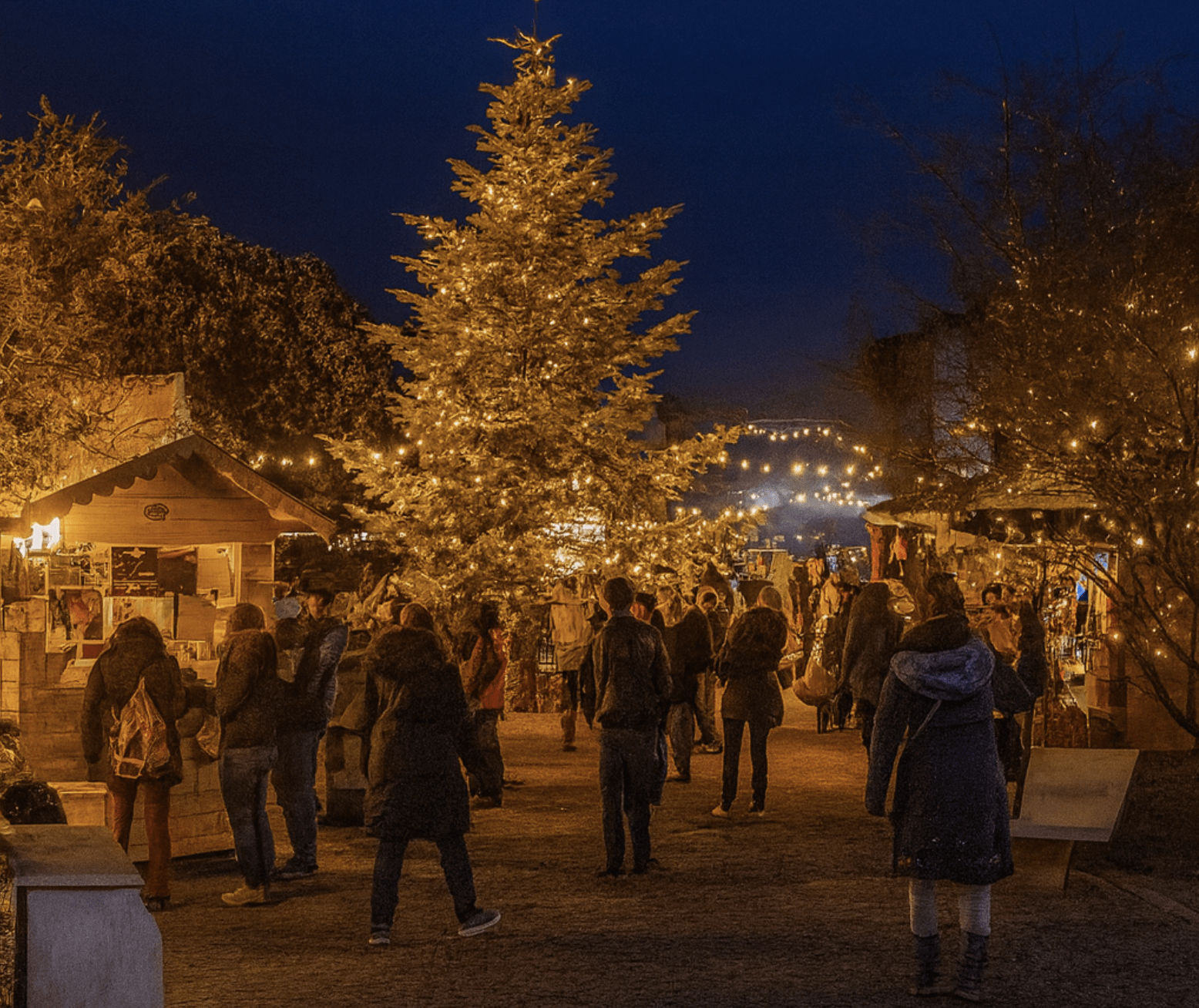 Cyprus101 December Newsletter: Local Events and Paphos Property Market