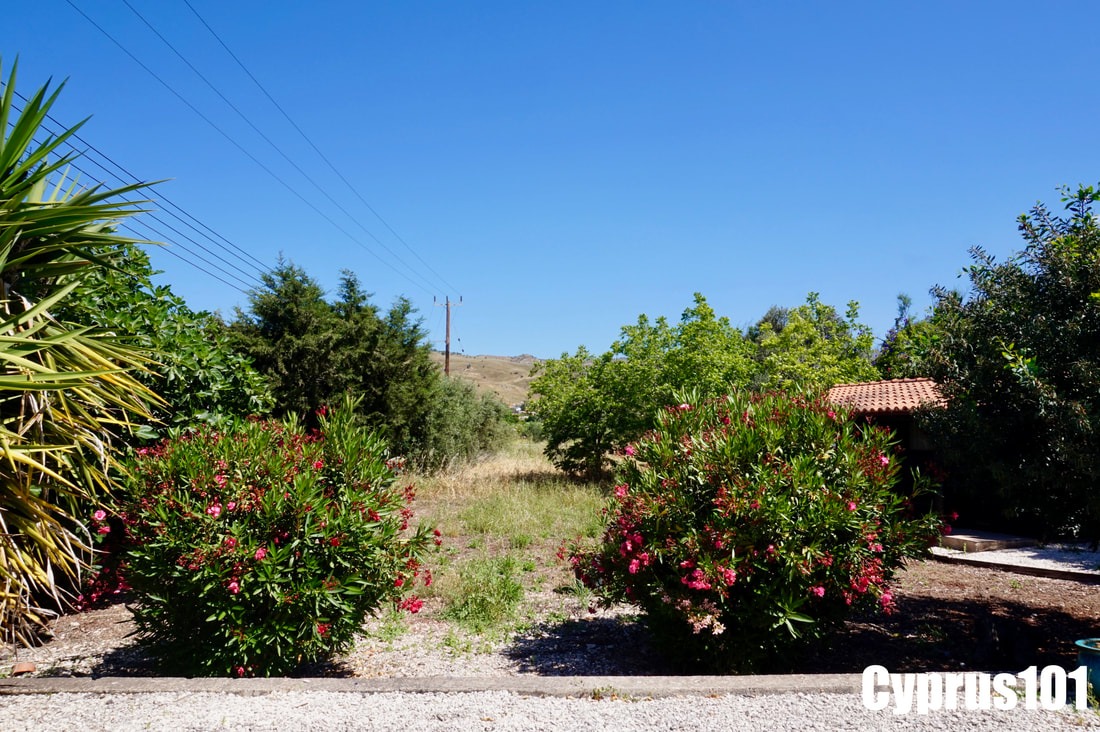 3 Bedroom Bungalow in Idyllically Peaceful Village of Mamonia – MLS 1384