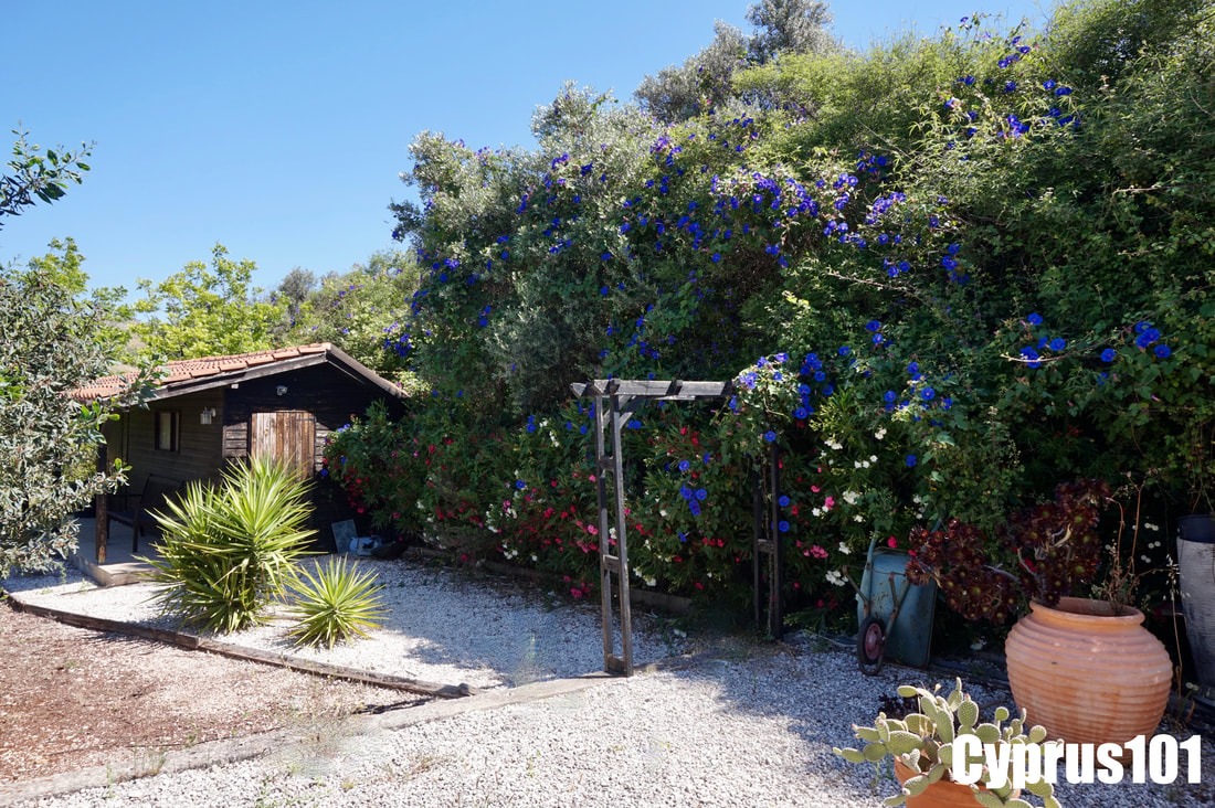 3 Bedroom Bungalow in Idyllically Peaceful Village of Mamonia – MLS 1384