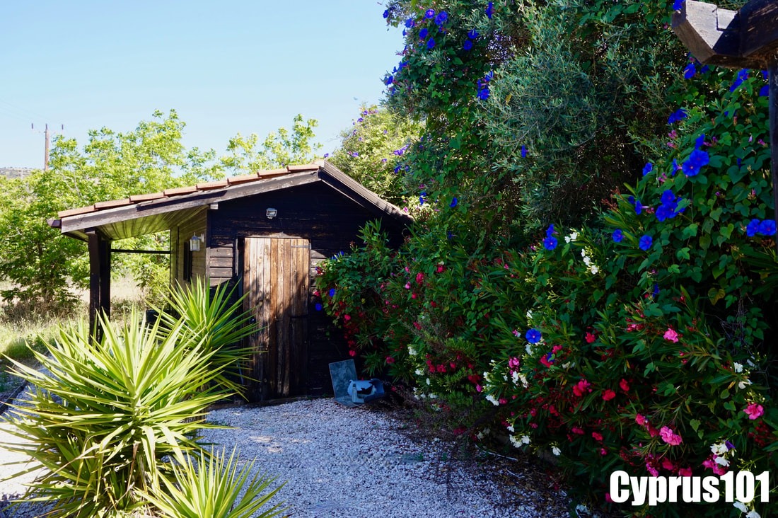 3 Bedroom Bungalow in Idyllically Peaceful Village of Mamonia – MLS 1384