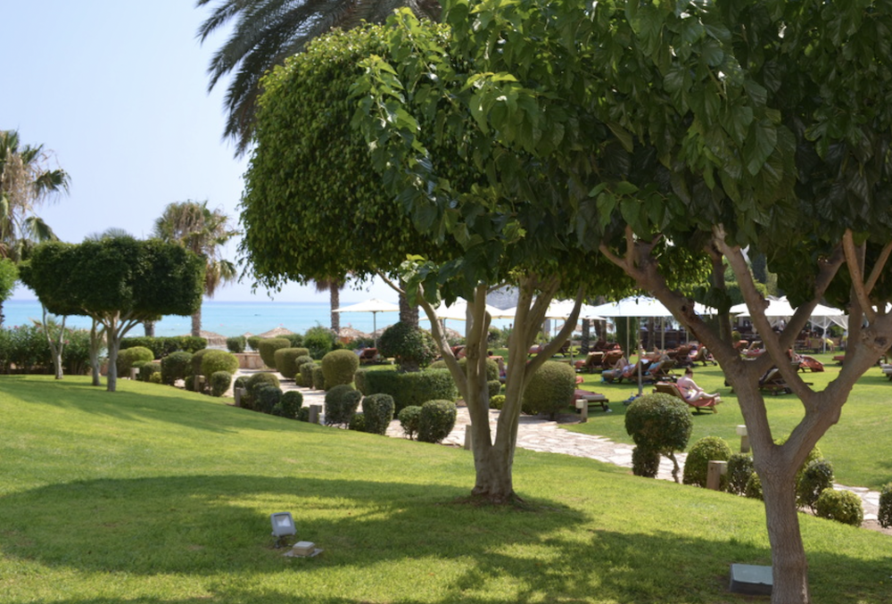 Beach and lawn area in Kato Paphos