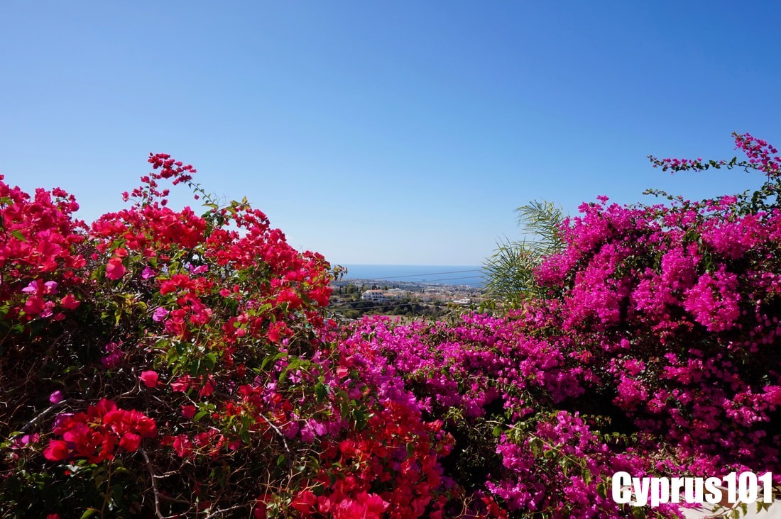 View of Sea from Paphos