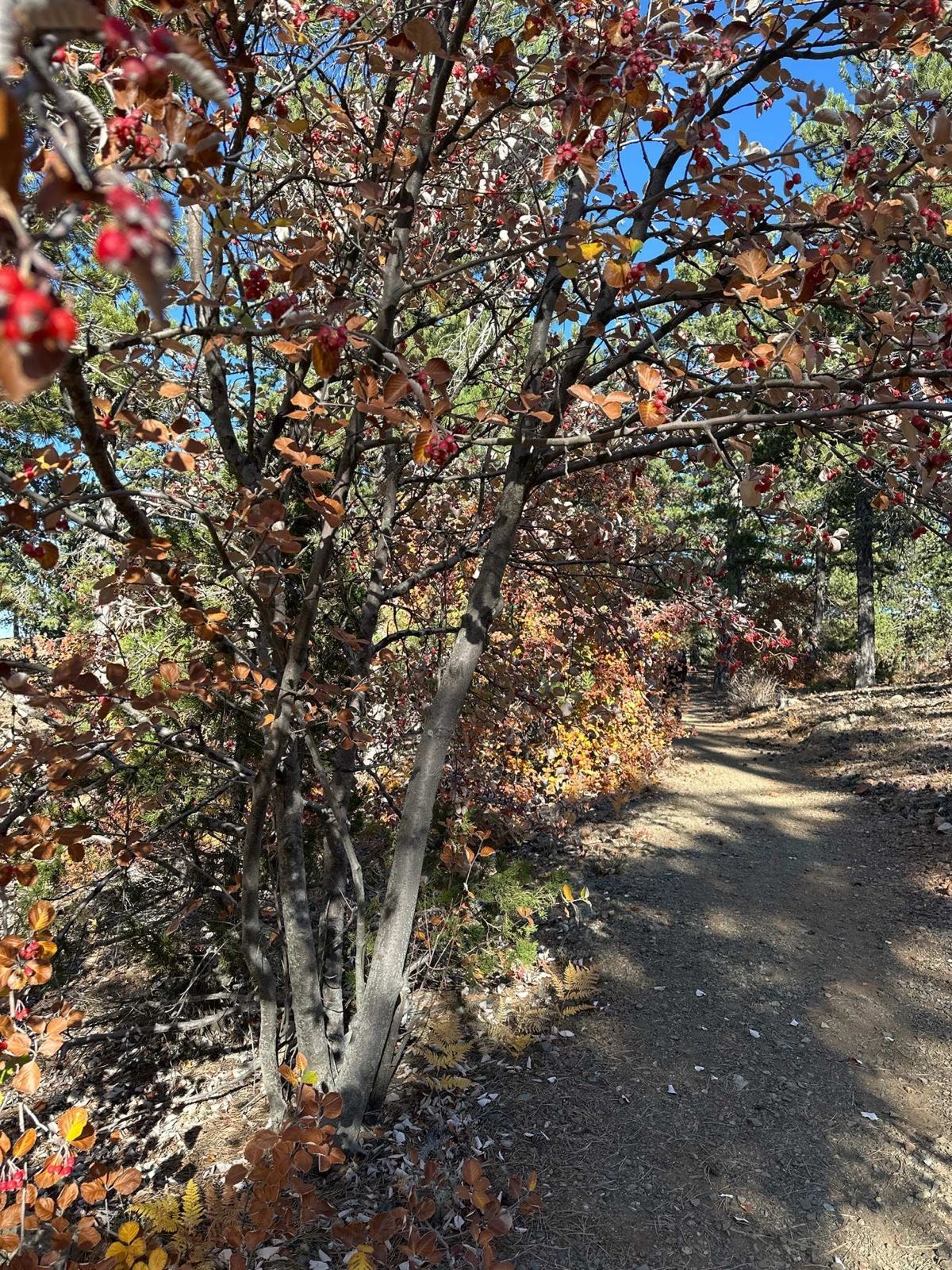 Platres Cyprus in the Fall 